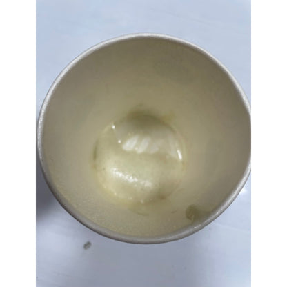 疏水性發泡劑